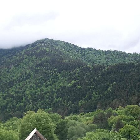 Zviad Guest House Borzsomi Kültér fotó