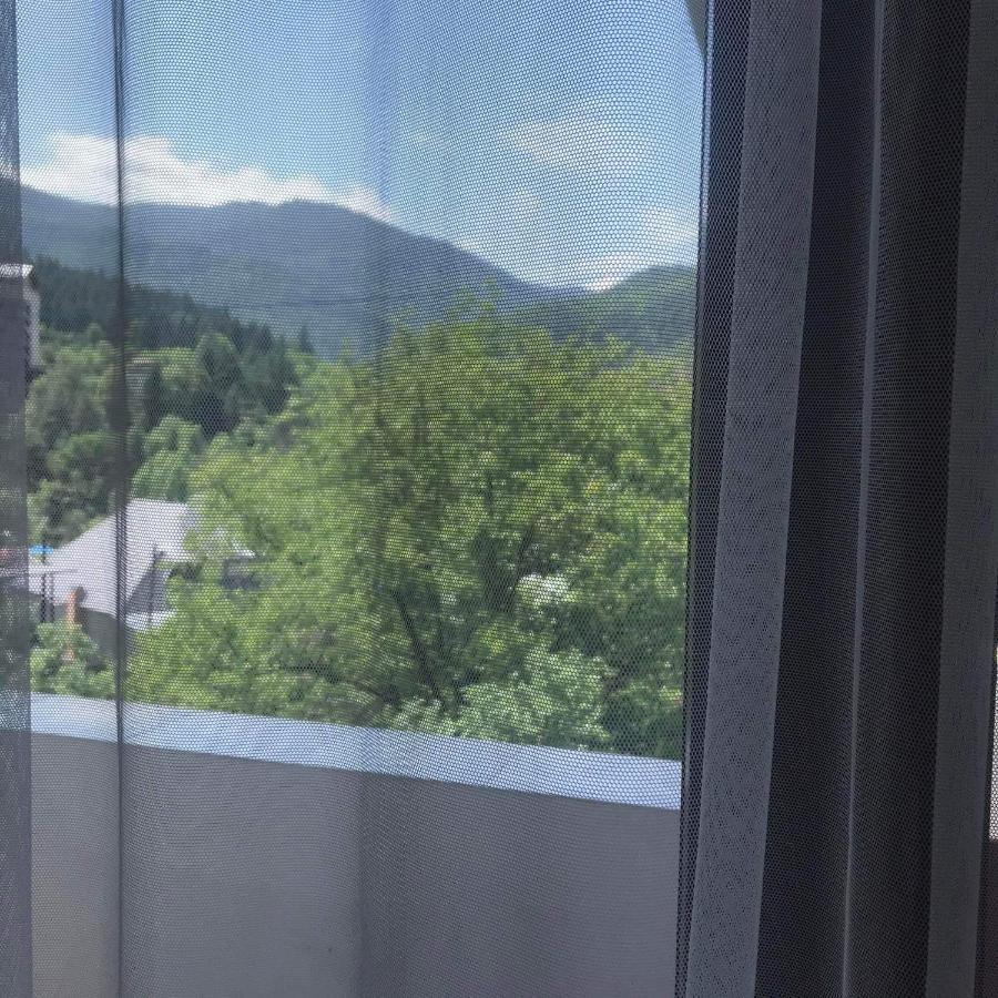 Zviad Guest House Borzsomi Kültér fotó