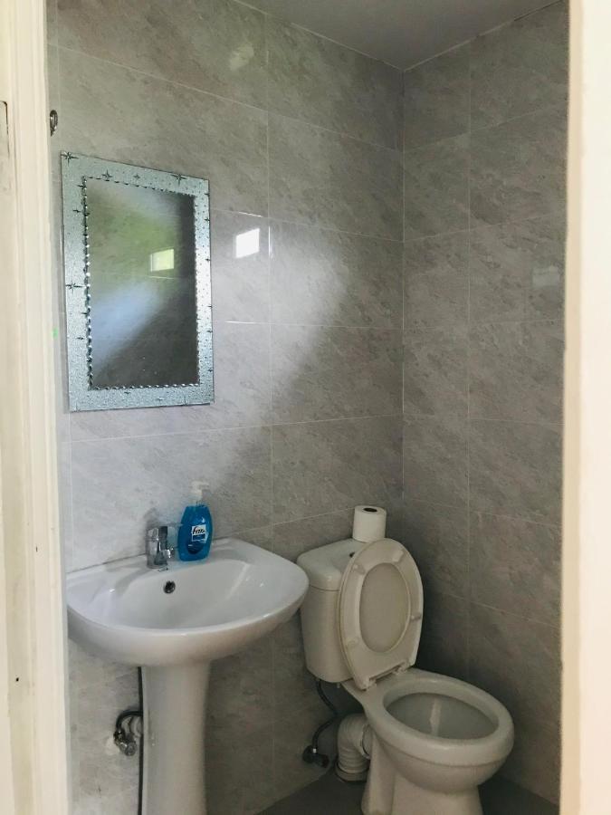 Zviad Guest House Borzsomi Kültér fotó