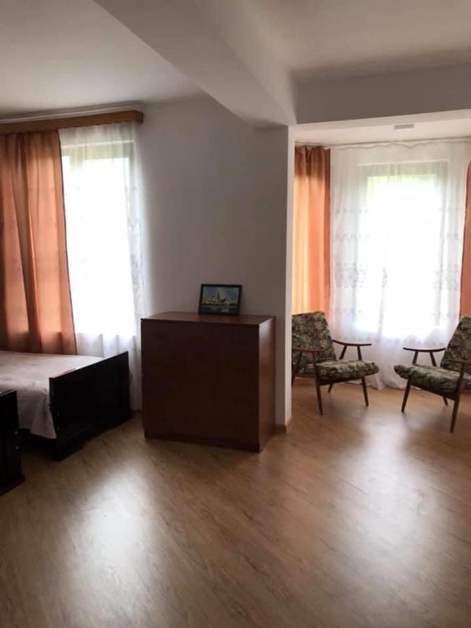 Zviad Guest House Borzsomi Kültér fotó