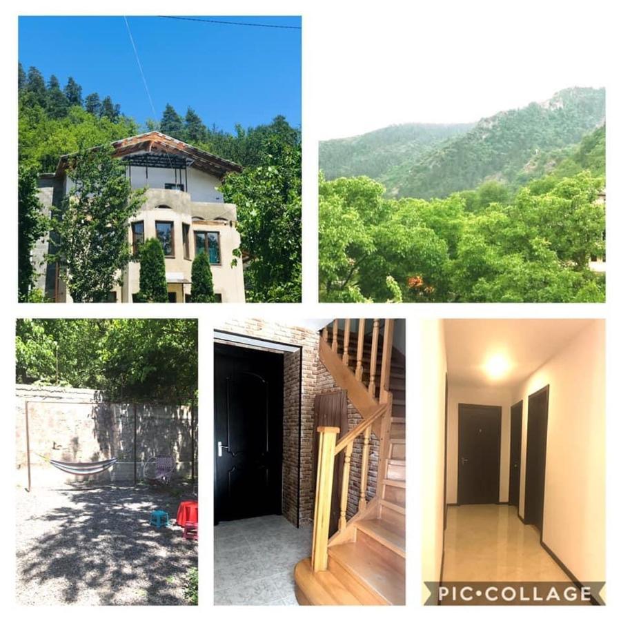 Zviad Guest House Borzsomi Kültér fotó