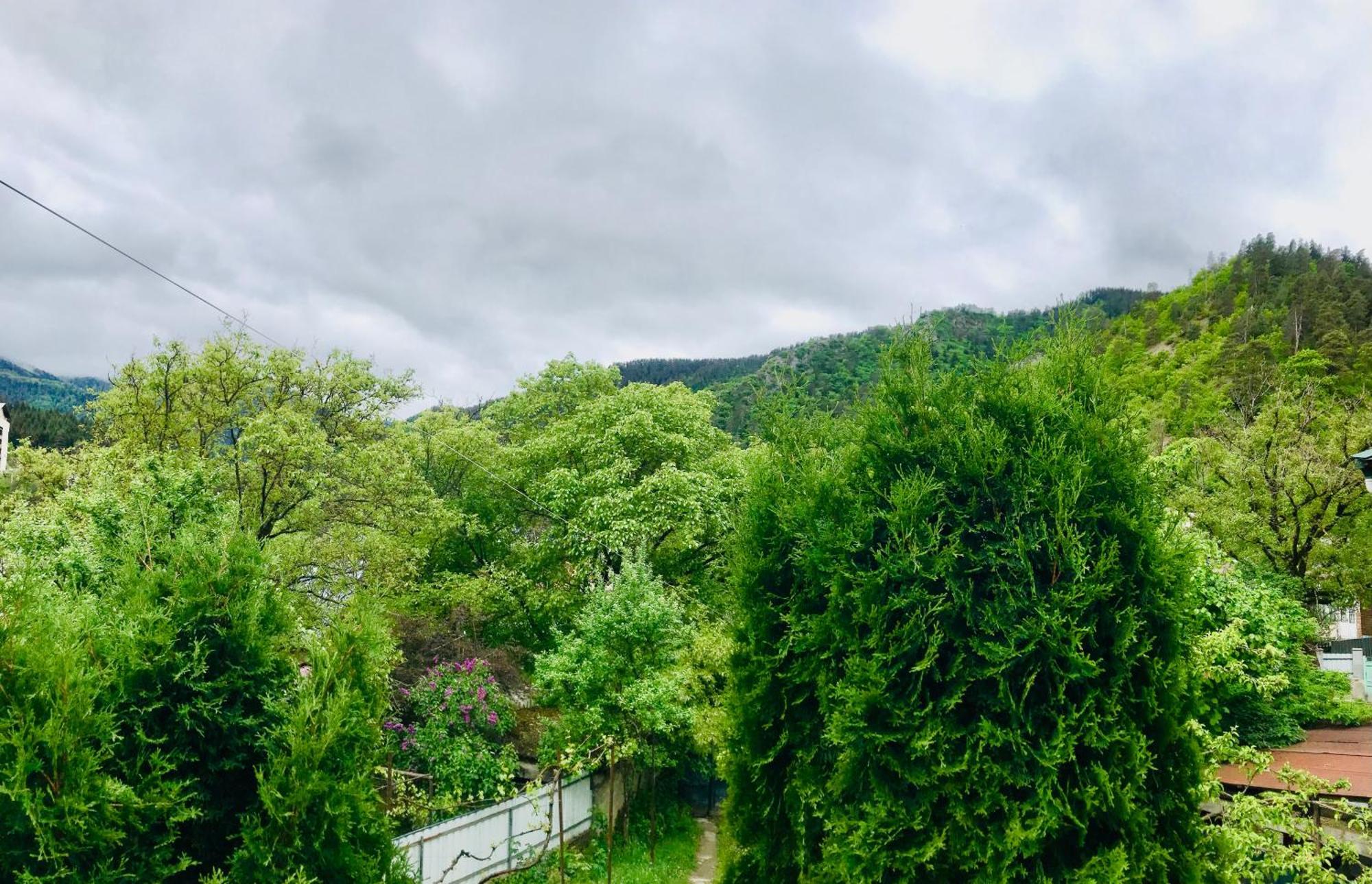 Zviad Guest House Borzsomi Kültér fotó