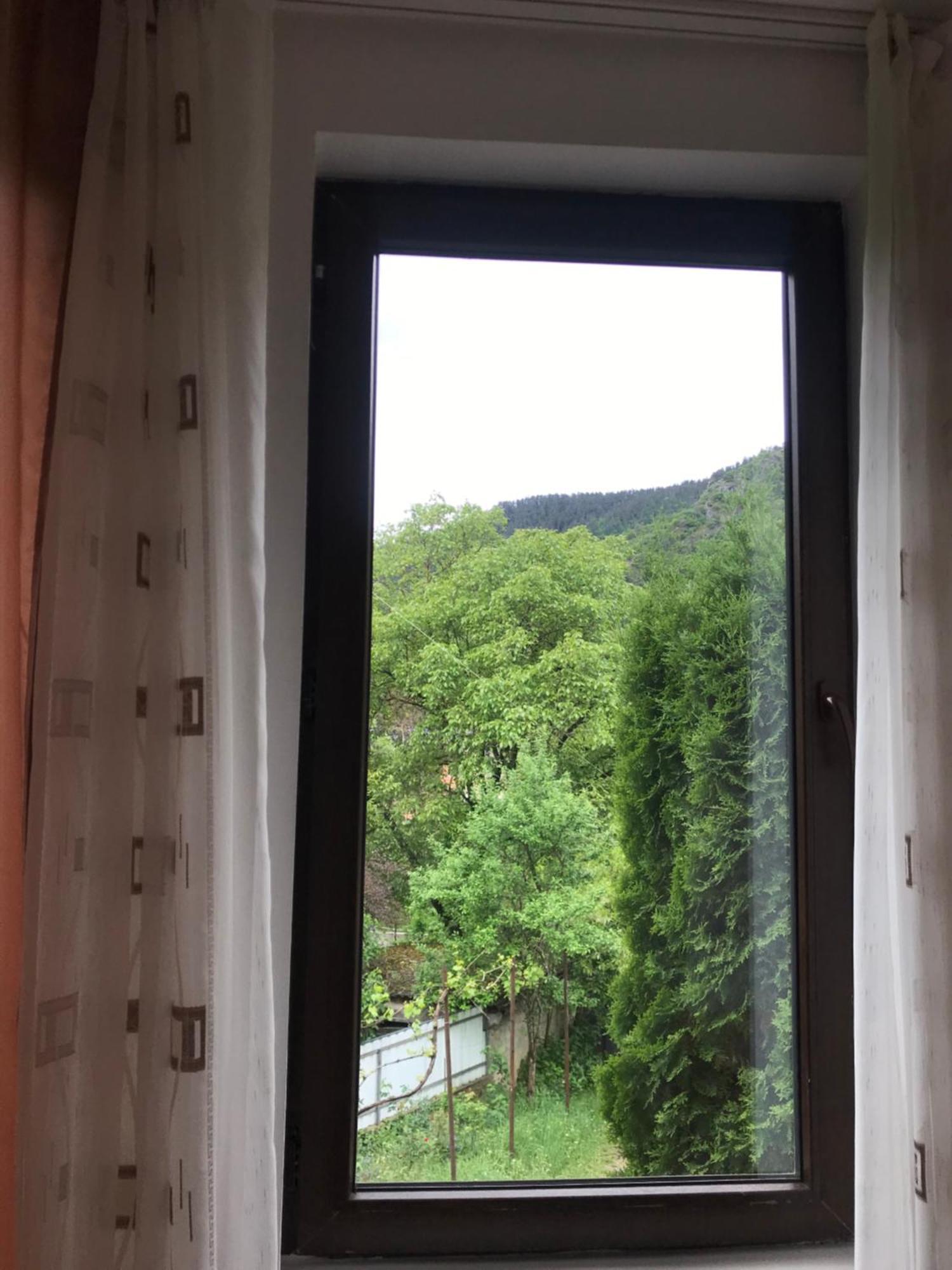 Zviad Guest House Borzsomi Kültér fotó