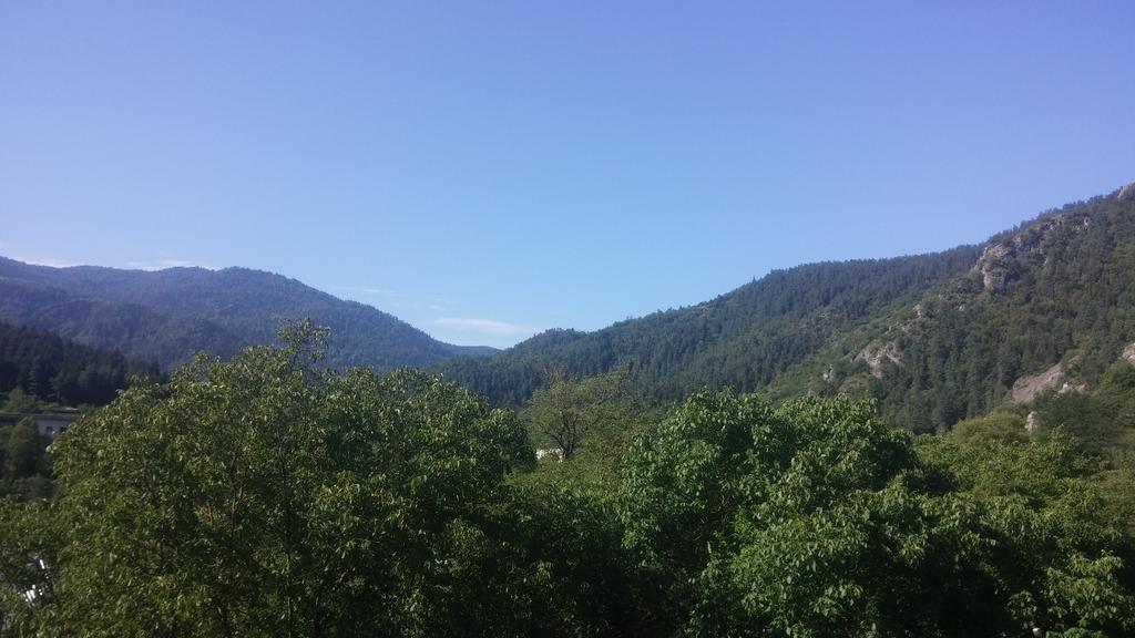 Zviad Guest House Borzsomi Kültér fotó