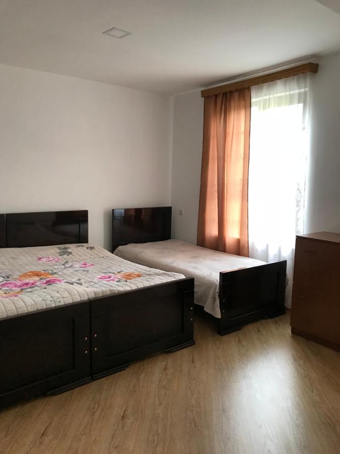 Zviad Guest House Borzsomi Kültér fotó